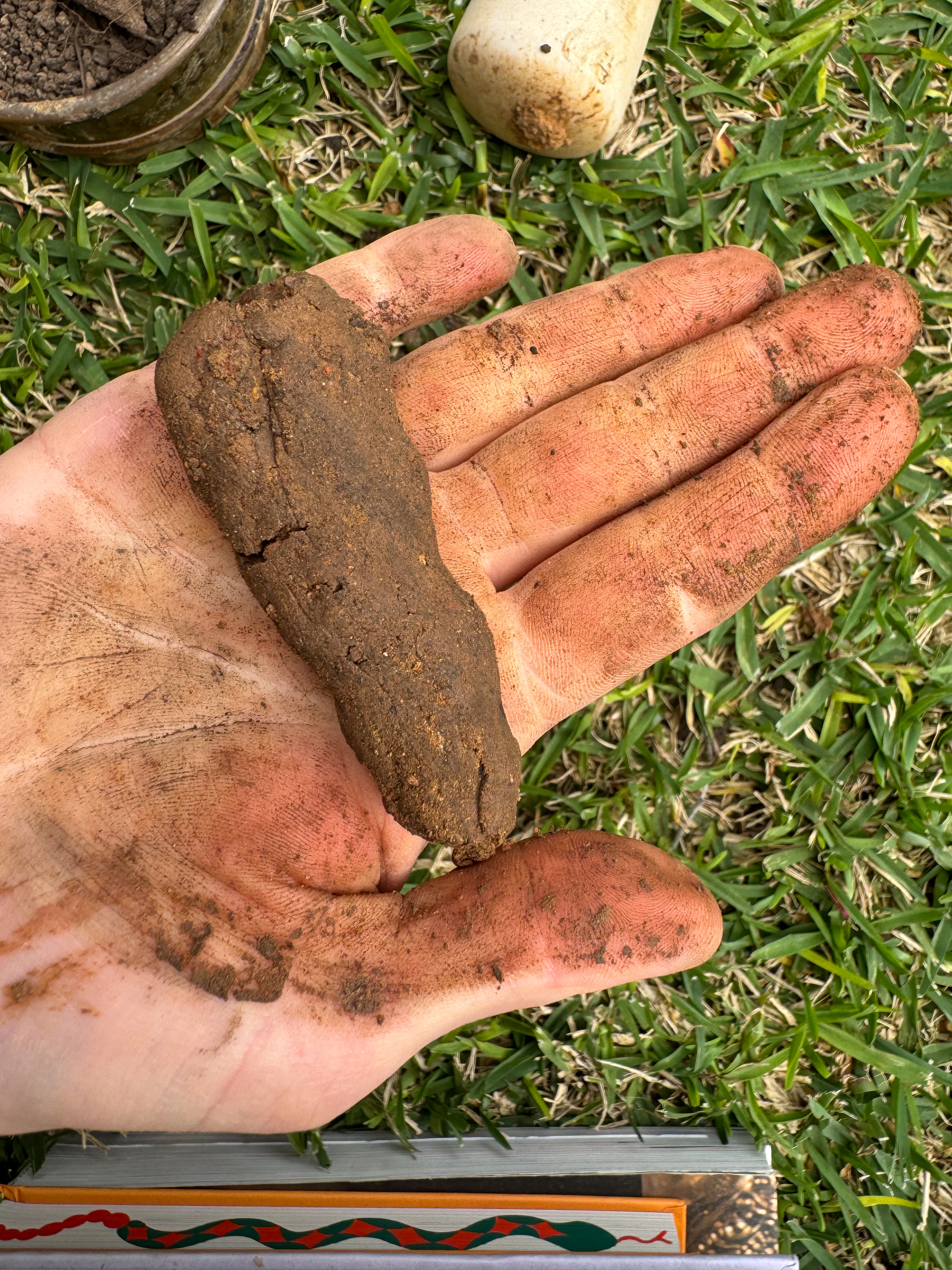 14 texturing soil ribbon test