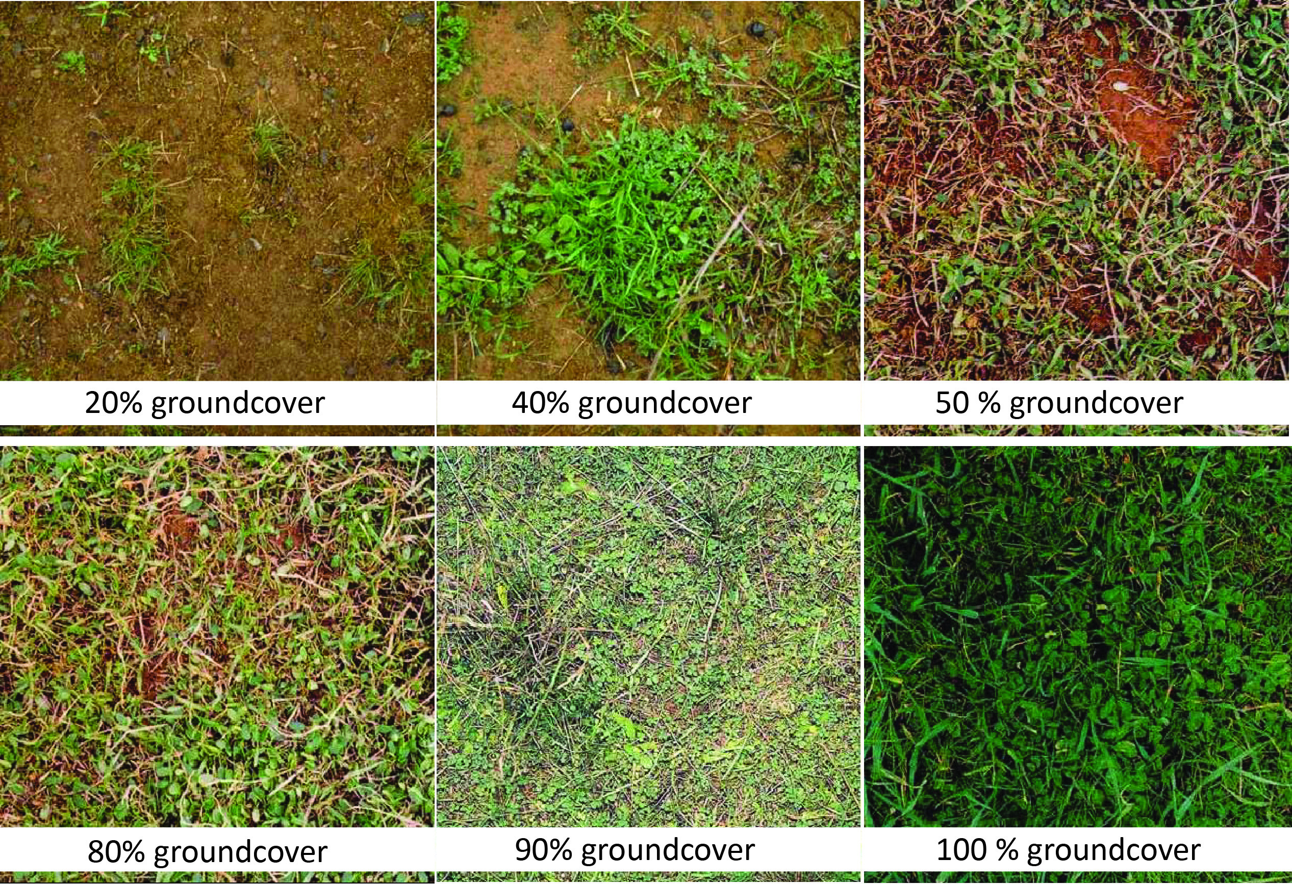 21 Good ground cover measurement