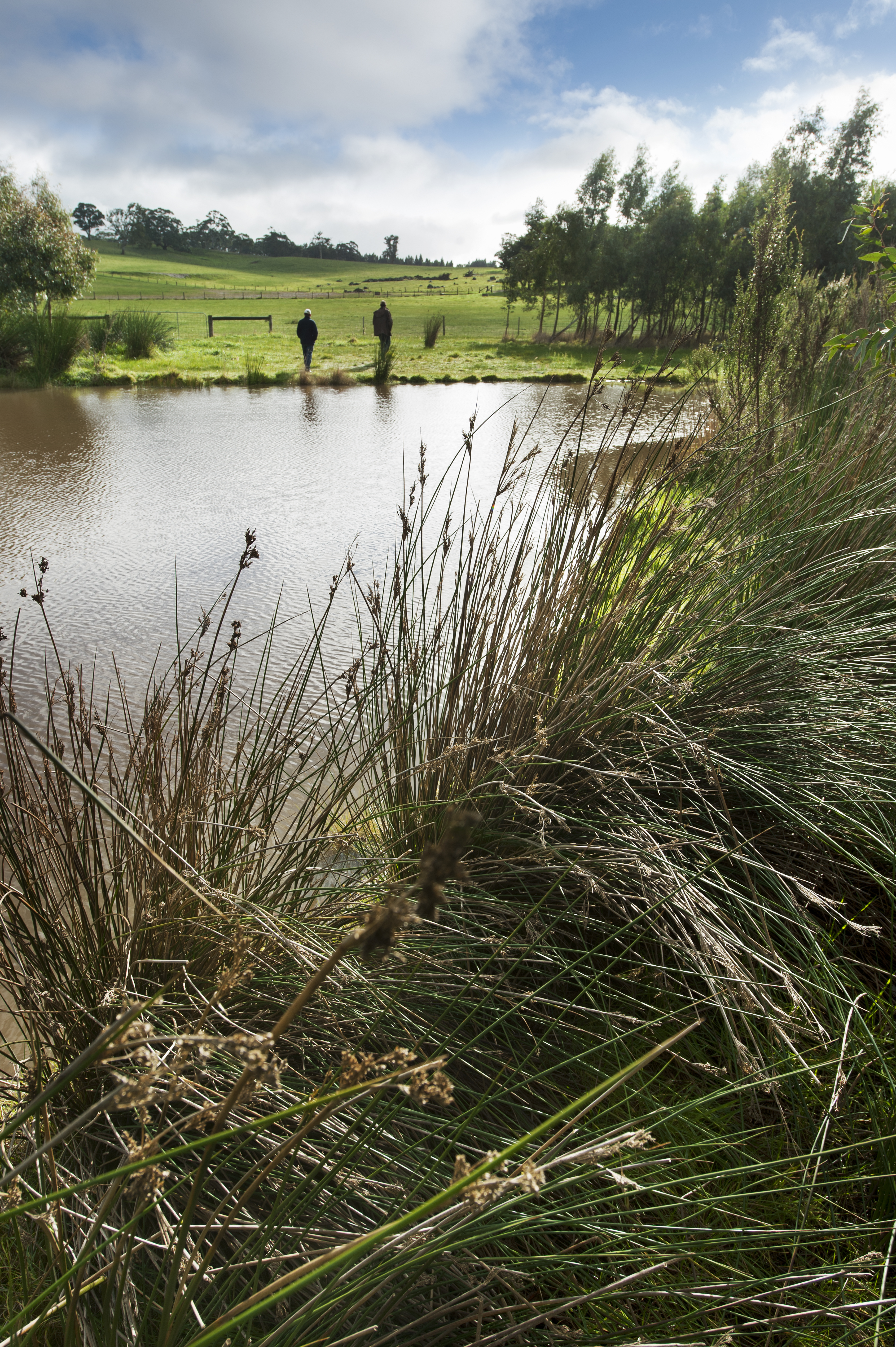 Alex Candetti property 8