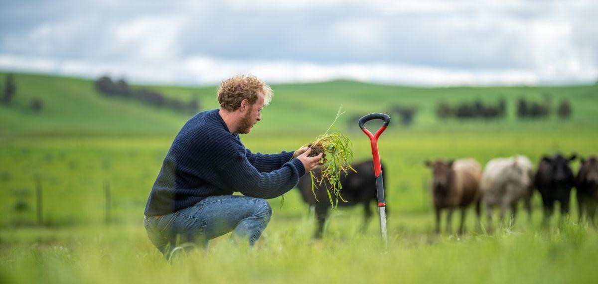 Carbon Farming Image