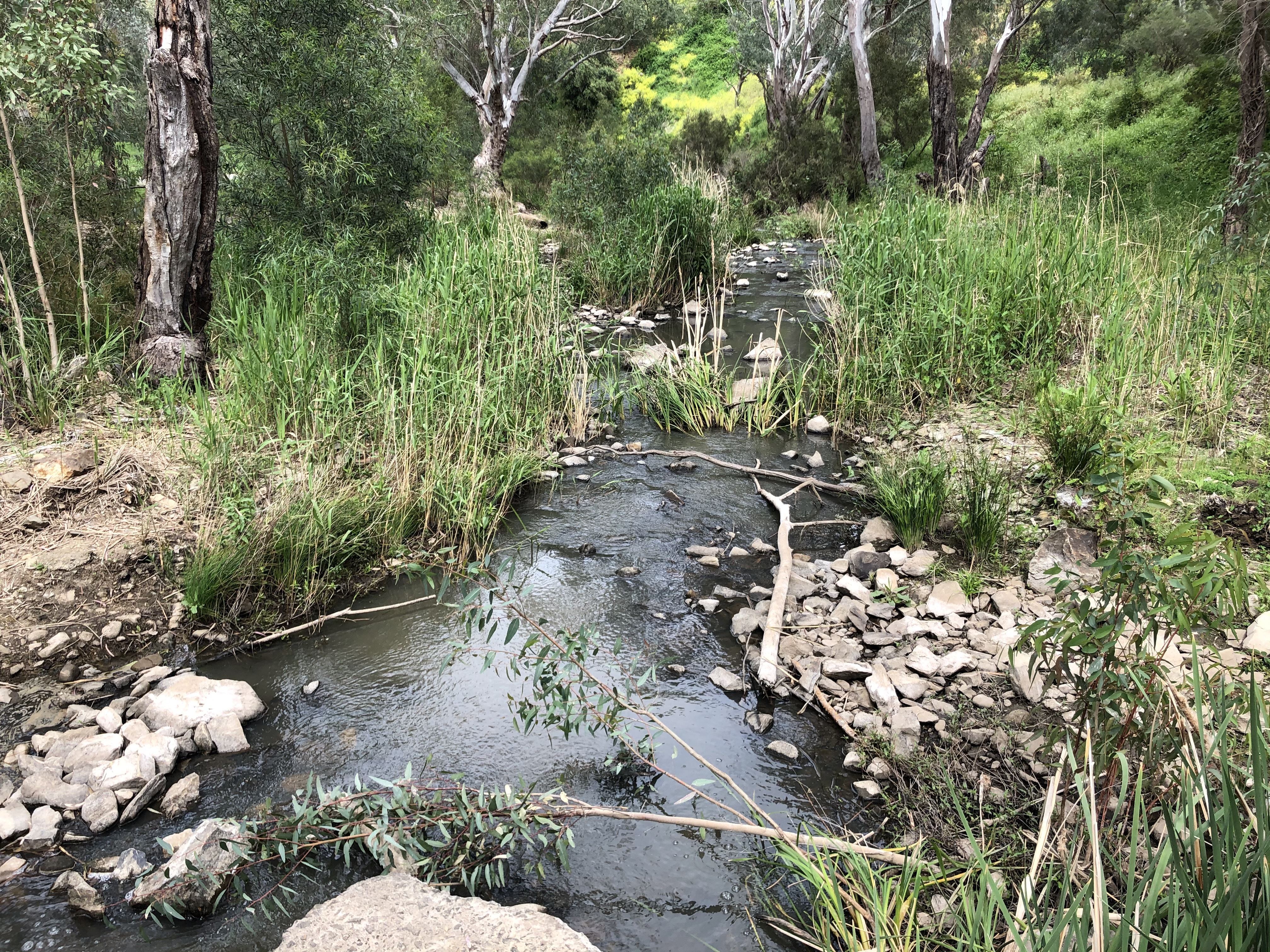 Clarendon Bridge 2 221020 S Schoofs