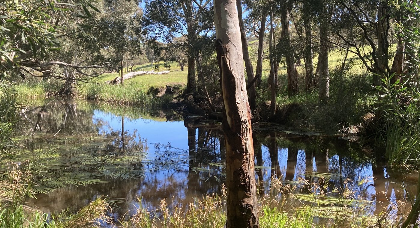 Cole Crossing Finniss River 2 MS