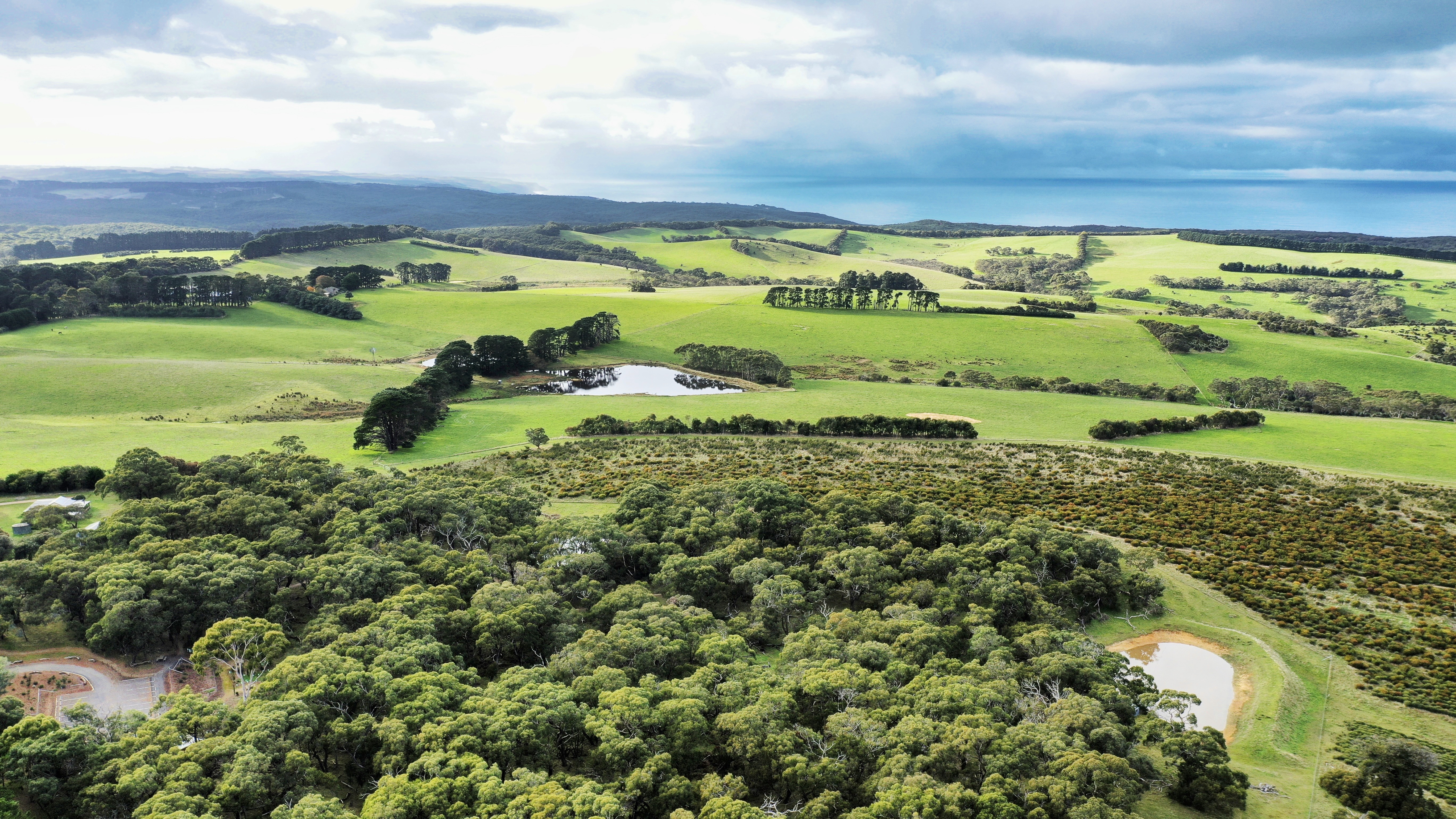 Hills and Fleurieu Region image