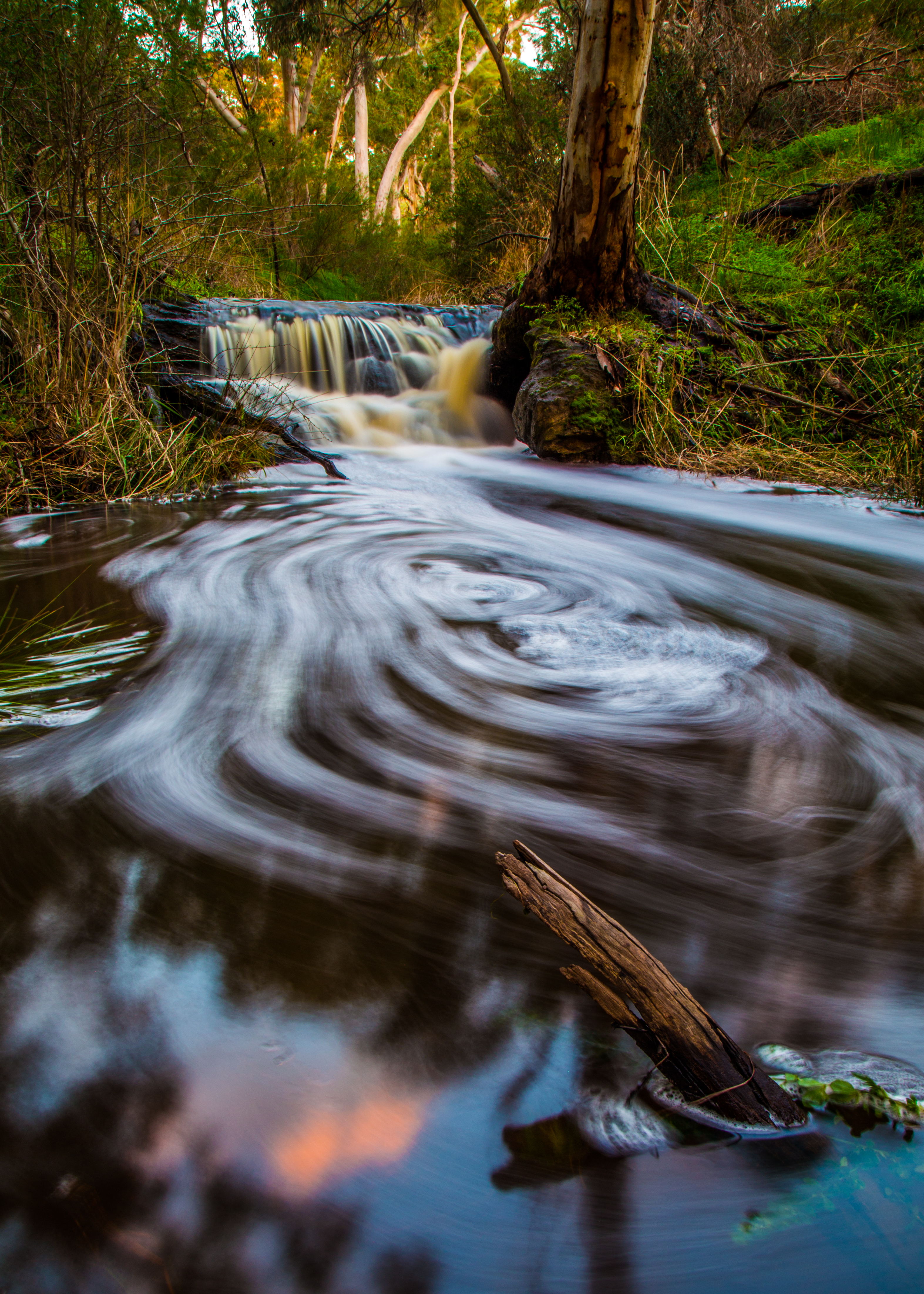 Peters Creek Kangarilla Ben Della Torre
