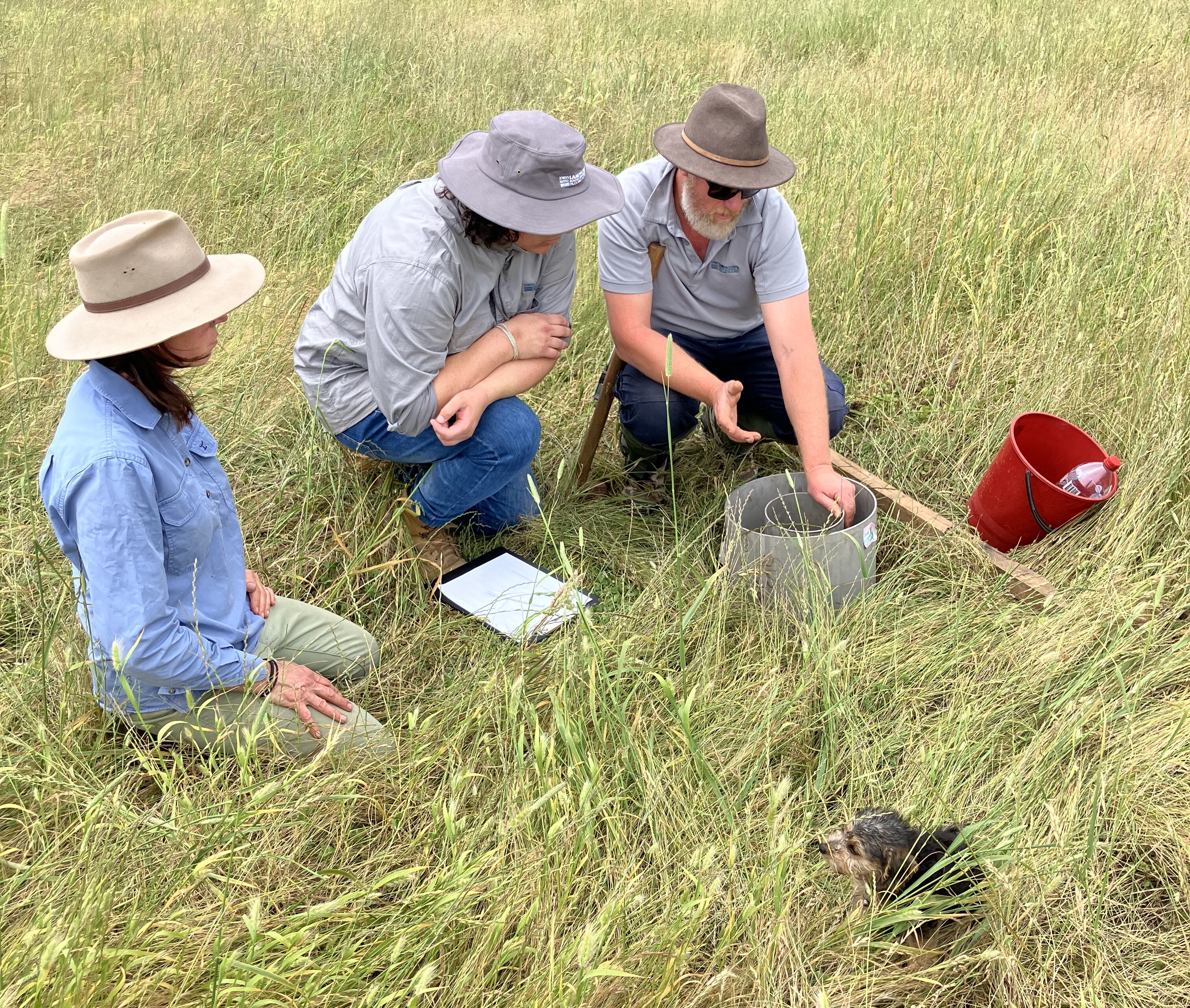 Ryan property workshop Copy