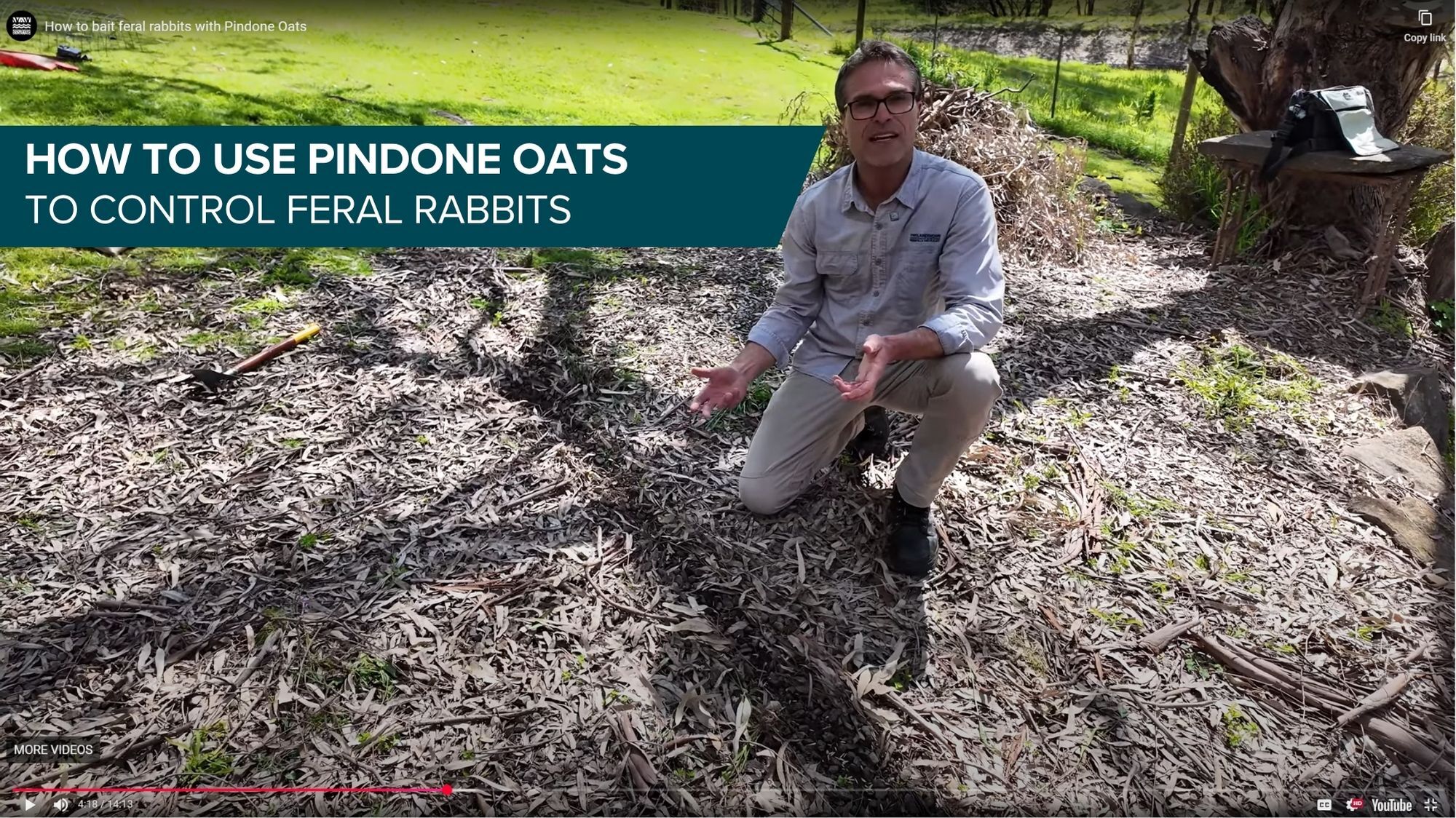 Video Thumbnail Pindone Oats