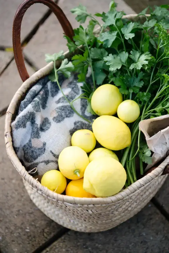 Citizen science living lightly locally