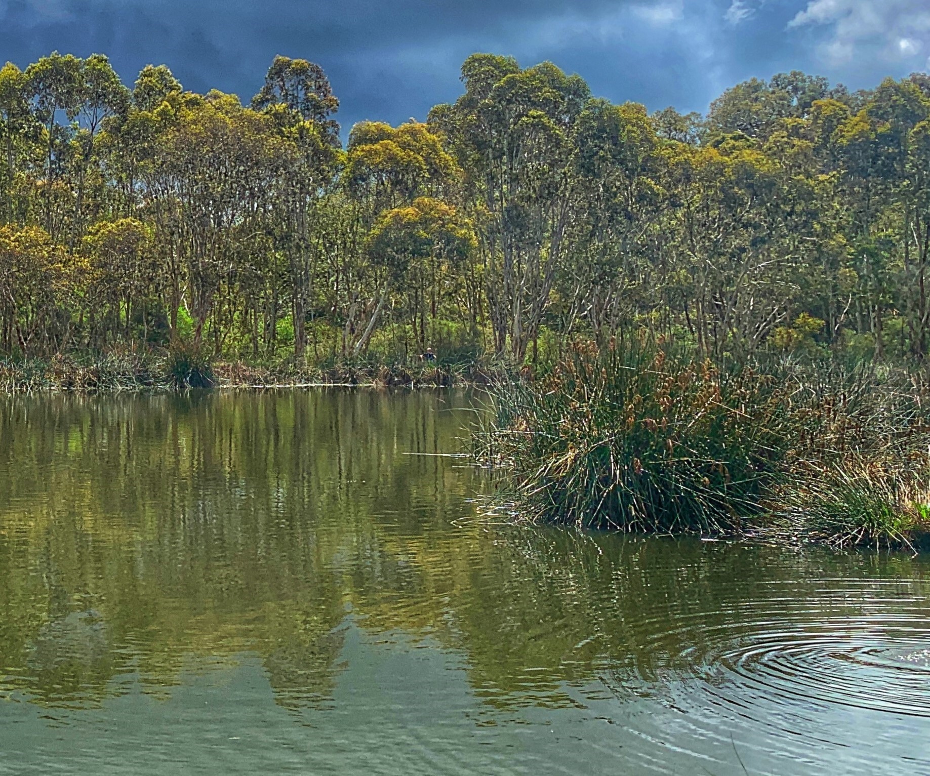 Water shot for stat page